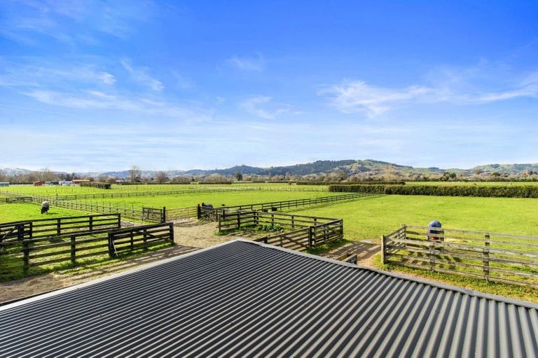 Photo of property in 58 Saint Kilda Road, Cambridge, 3493