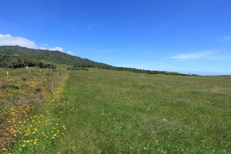 Photo of property in 696b Te Hutewai Road, Raglan, 3296