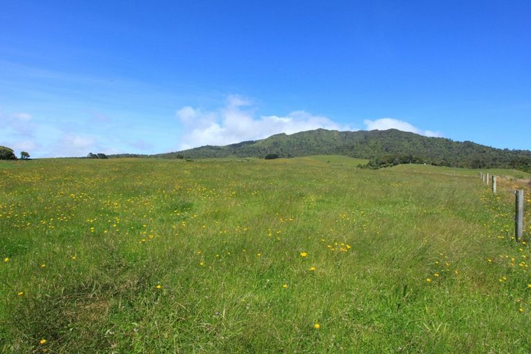 Photo of property in 696b Te Hutewai Road, Raglan, 3296