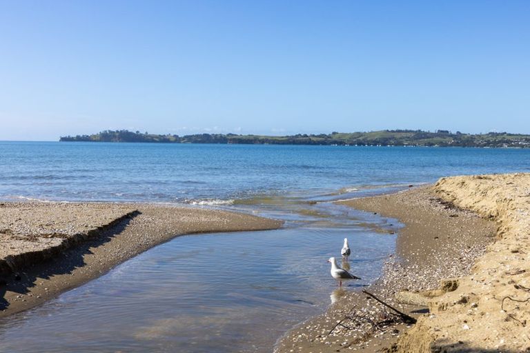 Photo of property in 117 Brick Bay Drive, Sandspit, Warkworth, 0982