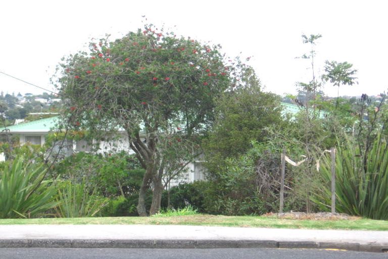 Photo of property in 23 Buscomb Avenue, Henderson, Auckland, 0610