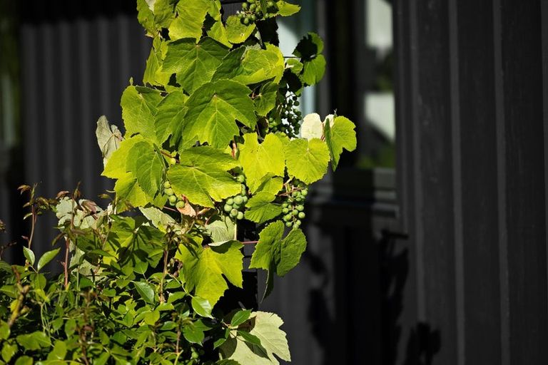 Photo of property in 10 Ellesmere Avenue, Jacks Point, Queenstown, 9371