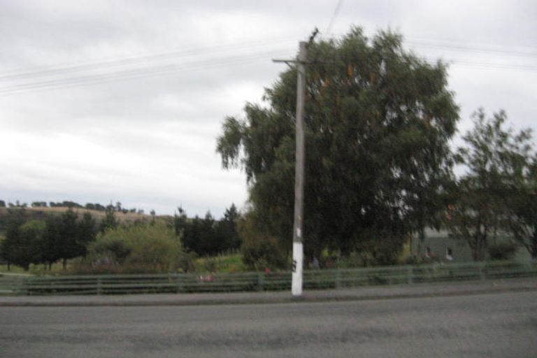 Photo of property in 17 Solway Street, Holmes Hill, Oamaru, 9401