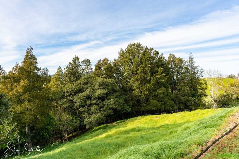 Photo of property in 16 Nikau Lane, Maungaturoto, 0520