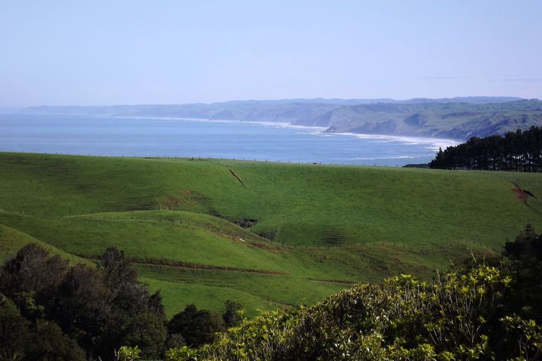 Photo of property in 696a Te Hutewai Road, Raglan, 3296