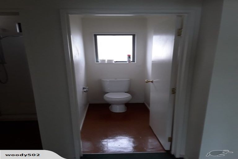 Photo of property in 217 Dey Street, Hamilton East, Hamilton, 3216