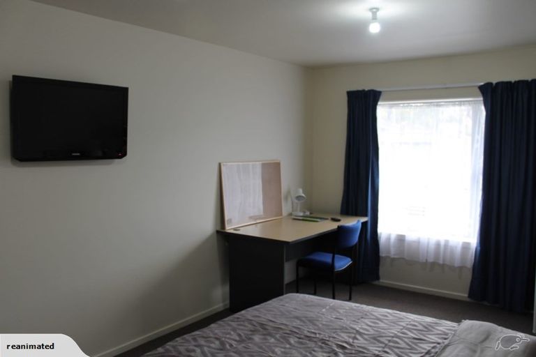 Photo of property in 17a Buccleugh Street, North East Valley, Dunedin, 9010