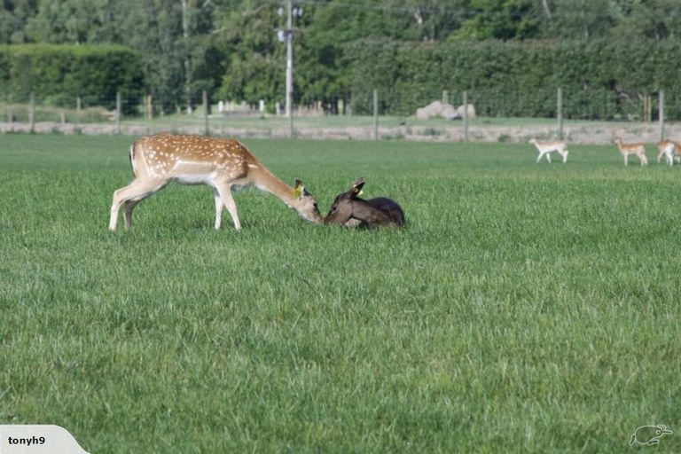 Photo of property in 18 Meadowlinks Lane, Pleasant Point, 7974