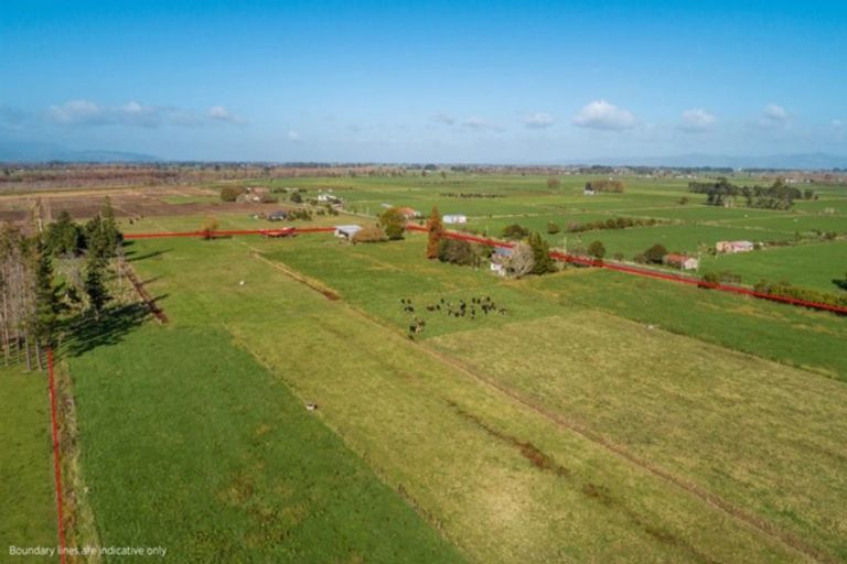 Photo of property in 65 Gumtown Road, Turua, Thames, 3574