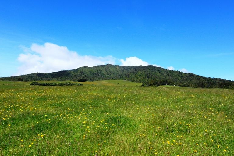 Photo of property in 696a Te Hutewai Road, Raglan, 3296