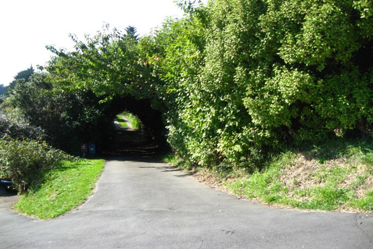 Photo of property in 39 Dalmeny Street, North East Valley, Dunedin, 9010