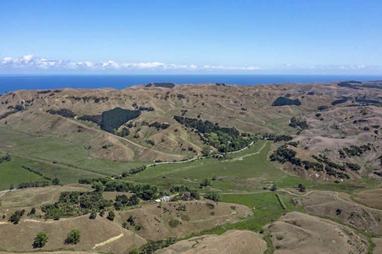 Photo of property in 429 Te Akau South Road, Te Akau, Ngaruawahia, 3793