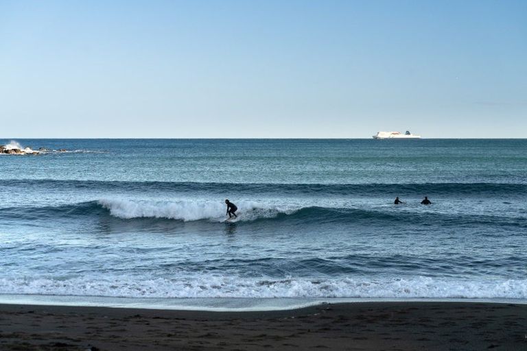 Photo of property in 84 The Esplanade, Houghton Bay, Wellington, 6023