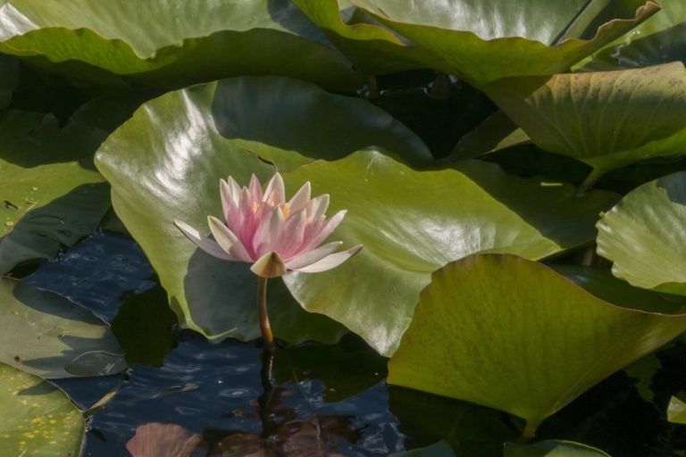 Photo of property in 108c Kauri Point Road, Tahawai, Katikati, 3170