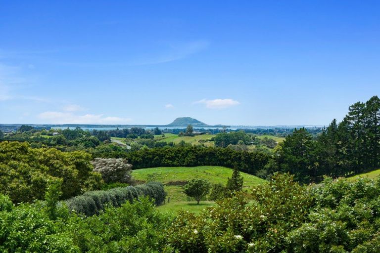 Photo of property in 235 Waipapa Block Road, Whakamarama, Tauranga, 3180
