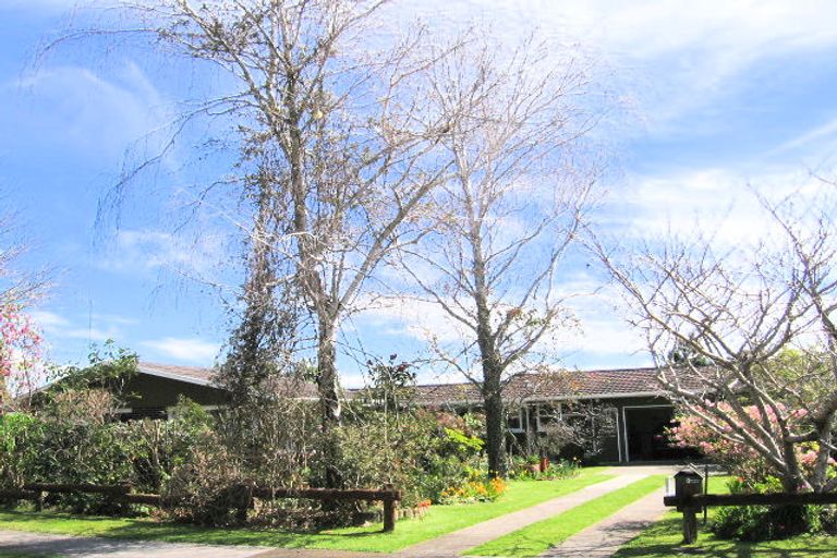 Photo of property in 9 Maxine Place, Matua, Tauranga, 3110