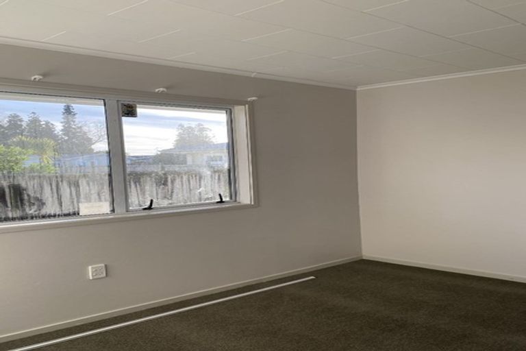 Photo of property in 12a Ford Street, Hamilton East, Hamilton, 3216