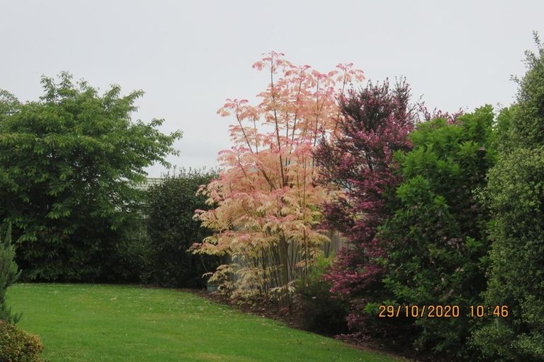 Photo of property in 39 Lord Rutherford Road North, Brightwater, 7022