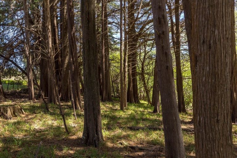 Photo of property in Annedale Road, Tinui, 5894