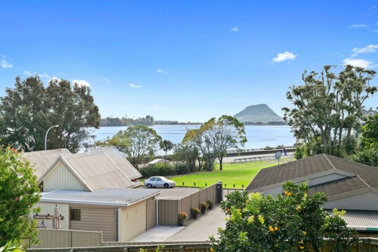 Photo of property in 118a Fourth Avenue, Tauranga, 3110