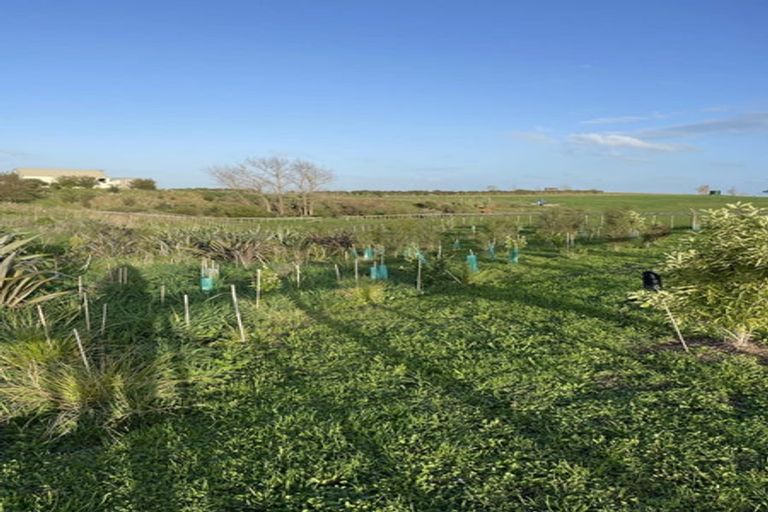 Photo of property in 301 Mercer Ferry Road, Mercer, Tuakau, 2696