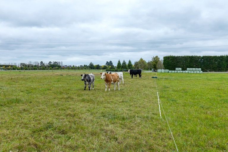 Photo of property in 72 Winslow Willowby Road, Winslow, Ashburton, 7775