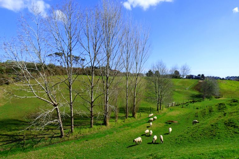 Photo of property in 110 Hall Road, Waiuku, 2681