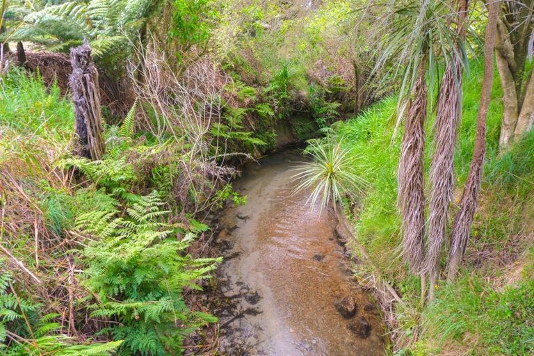 Photo of property in 1156 Braemar Road, Rotoma, Whakatane, 3192