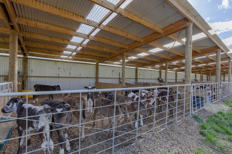 Photo of property in 569 Maunga Road, Dannevirke, 4976