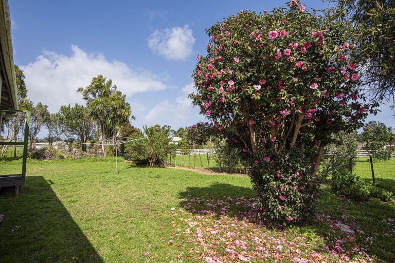 Photo of property in 96 Colville Road, Dargaville, 0310