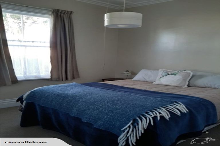 Photo of property in 141 Portia Street, Stratford, 4332