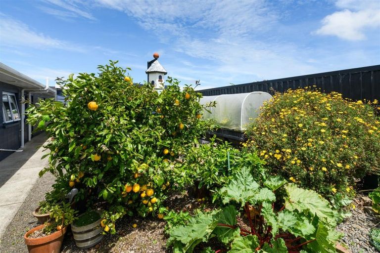 Photo of property in 17 Barnett Drive, Marton, 4710