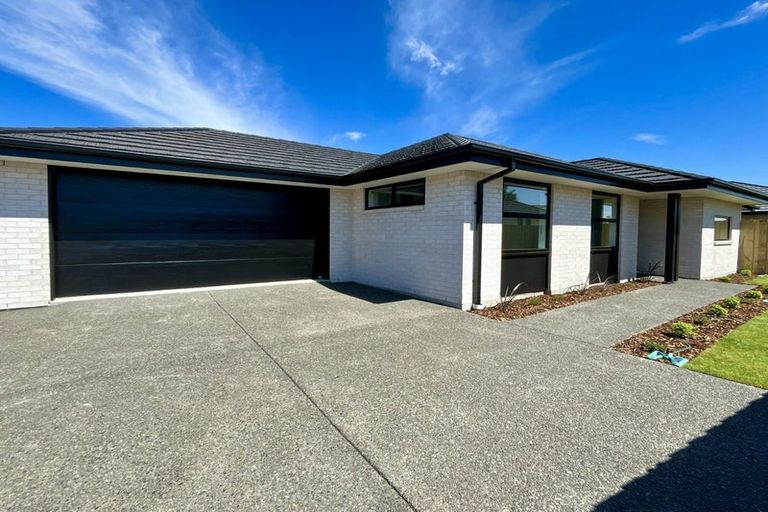 Photo of property in 13 Kildare Street, Belfast, Christchurch, 8051