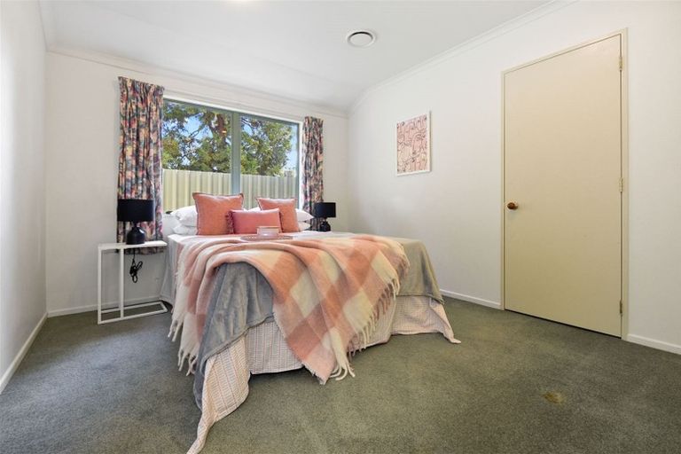 Photo of property in 12 Hastings Place, Hamilton Lake, Hamilton, 3204