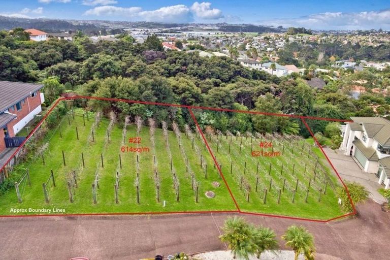 Photo of property in 24 Lorikeet Place, Unsworth Heights, Auckland, 0632