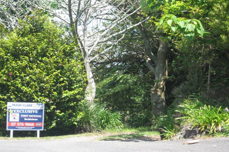 Photo of property in 295b Minden Road, Minden, Tauranga, 3176