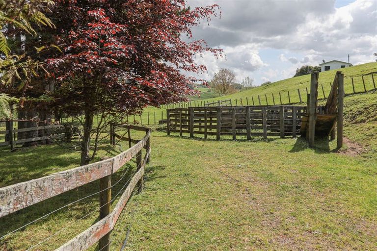 Photo of property in 1025 Hetherington Road, Ruawaro, Huntly, 3772