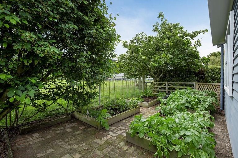 Photo of property in 8 Holyhead Street, Outram, 9019