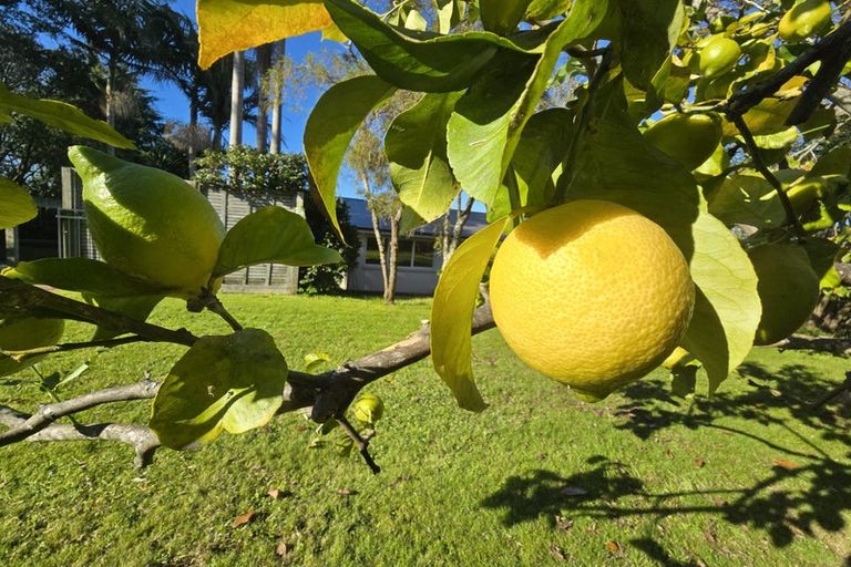 Photo of property in 67 Fifteenth Avenue, Tauranga South, Tauranga, 3112