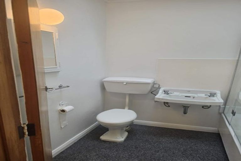 Photo of property in 195 Nikau Street, Saint Leonards, Hastings, 4120