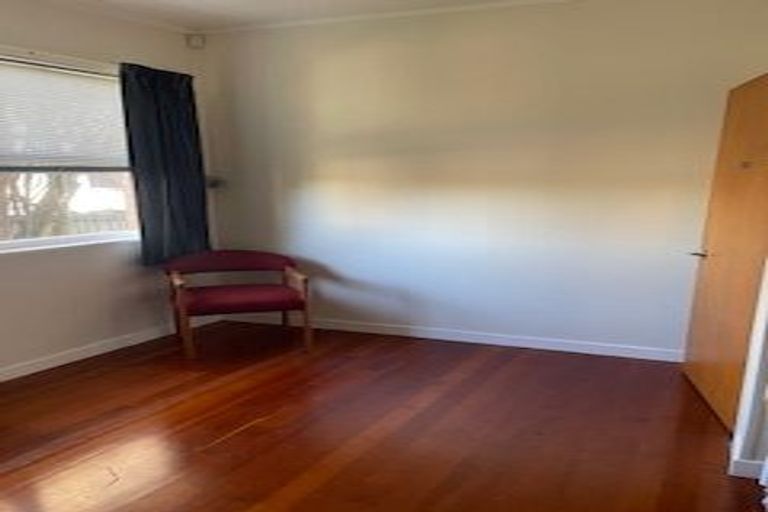 Photo of property in 53 Anglesea Street, Hamilton Central, Hamilton, 3204