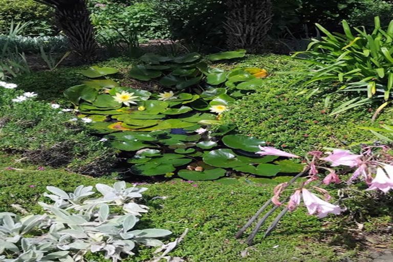 Photo of property in 92 Elmwood Road, Aongatete, Katikati, 3178