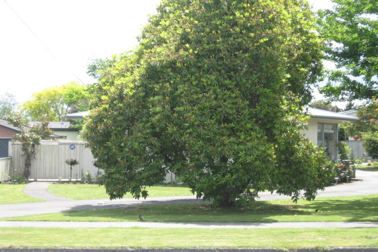 Photo of property in 247 Shakespeare Street, Leamington, Cambridge, 3432