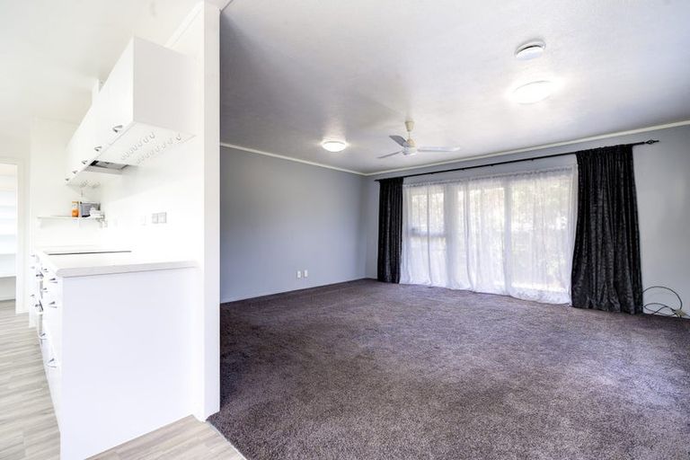 Photo of property in 441 Kahikatea Drive, Dinsdale, Hamilton, 3204