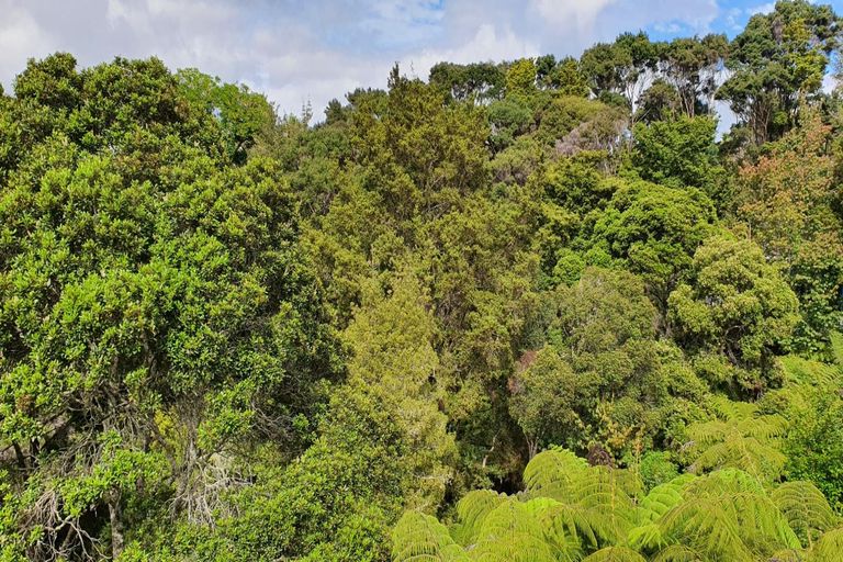 Photo of property in 2b Lyon Street, Opua, 0200