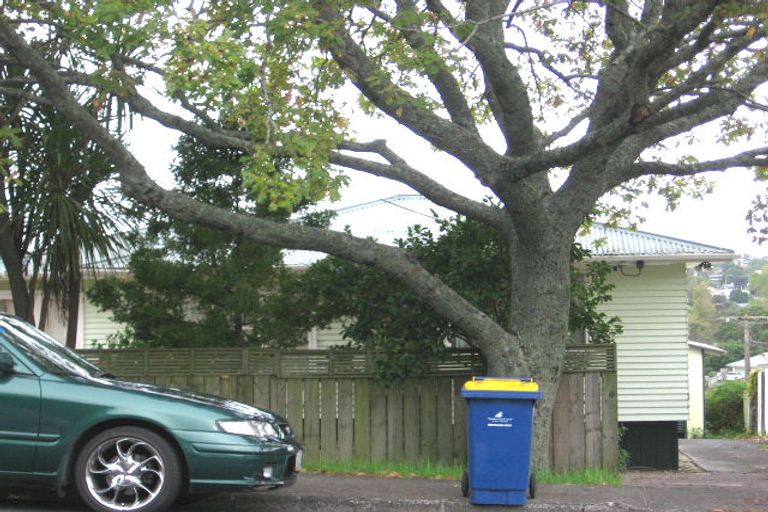 Photo of property in 25 Buscomb Avenue, Henderson, Auckland, 0610