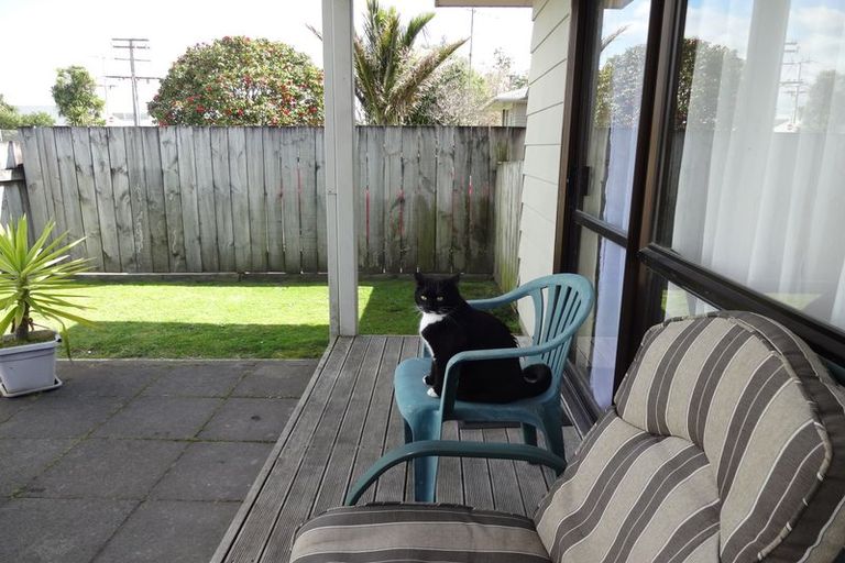 Photo of property in 297b Chadwick Road, Gate Pa, Tauranga, 3112