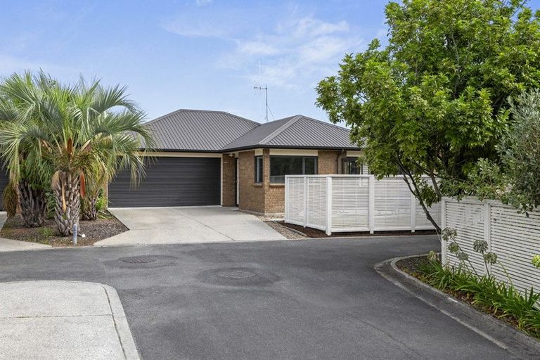 Photo of property in 124a Clarkin Road, Fairfield, Hamilton, 3214