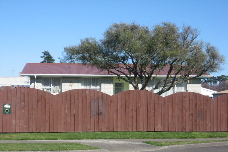 Photo of property in 40 Hinemoa Street, Levin, 5510