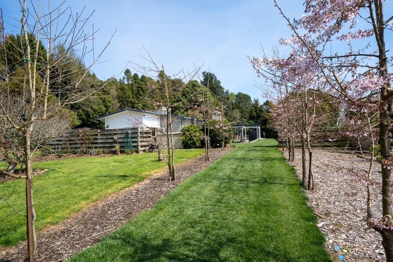 Photo of property in 192 Karapiro Road, Karapiro, Cambridge, 3496